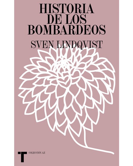 Historia de los bombardeos