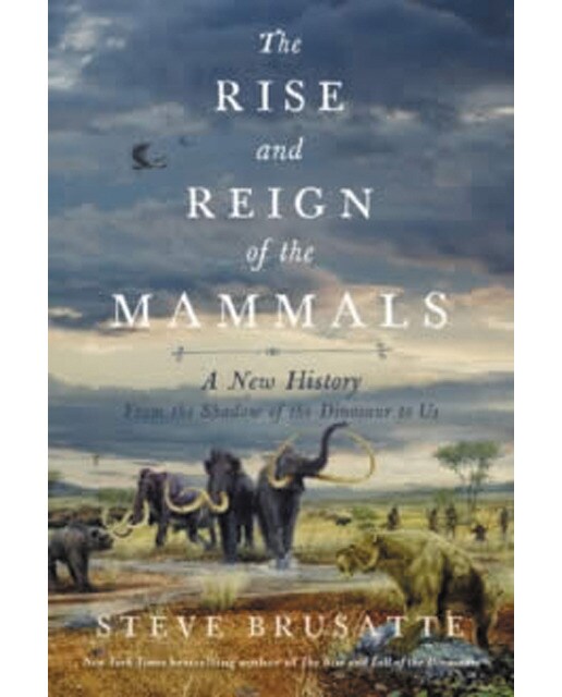The rise and fall of the mammals 1