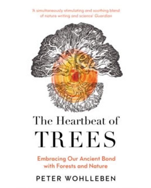 The heartbeat of trees 1