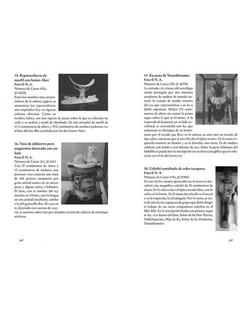 Cosas maravillosas. Cien años del descubrimiento de Tutankhamón  (Tapa blanda) 3