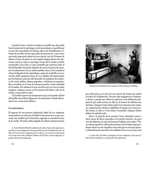 Cosas maravillosas. Cien años del descubrimiento de Tutankhamón  (Tapa blanda) 6