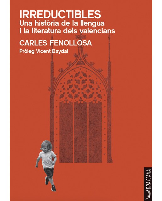 Irreductibles. Una història de la llengua i la literatura dels valencians: Una història de la llengua i la literatura dels valen (Capa mole com abas) 1
