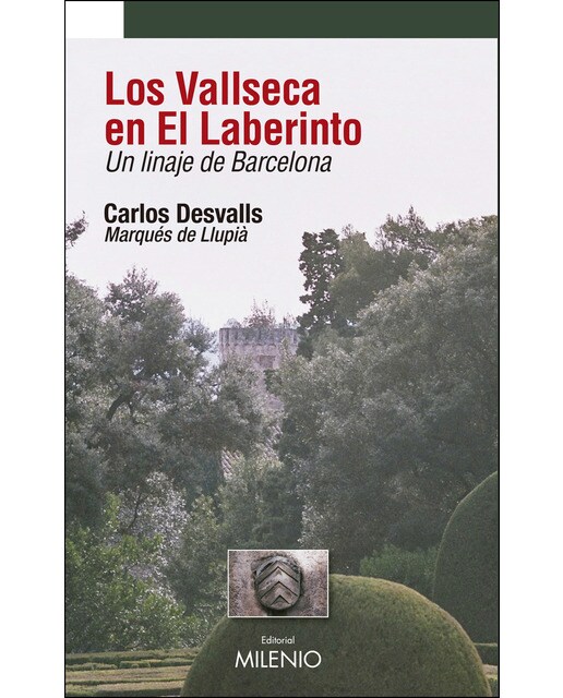 Imagen 1 de Los vallseca en el laberinto (Tapa blanda)