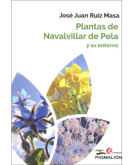 Plantas de navalvillar de pela y su entorno 1