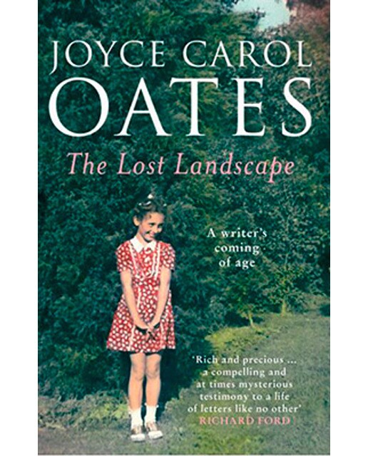 Imagem 0 de The Lost Landscape