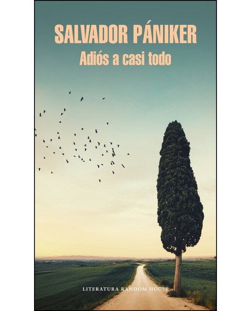 Adiós a casi todo (Diarios de Pániker 5) (Capa dura) 1