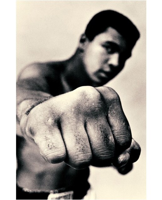 Imagen 0 de Ali: a life