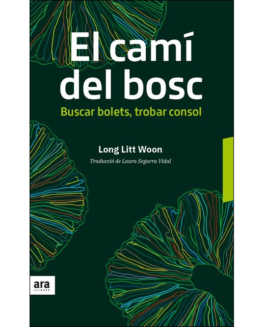 El Camí Del Bosc: Buscar Bolets. Trobar Consol 1