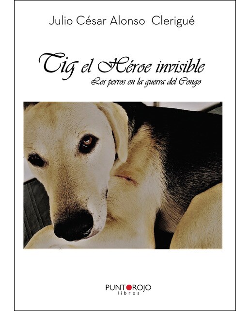 Tig. El Héroe Invisible 1