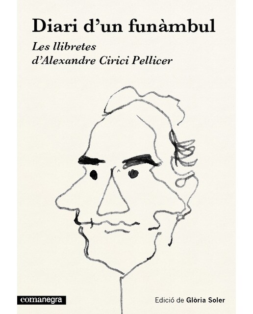 Diari D'un Funàmbul. Les Llibretes D'Alexandre Cirici Pellicer 1