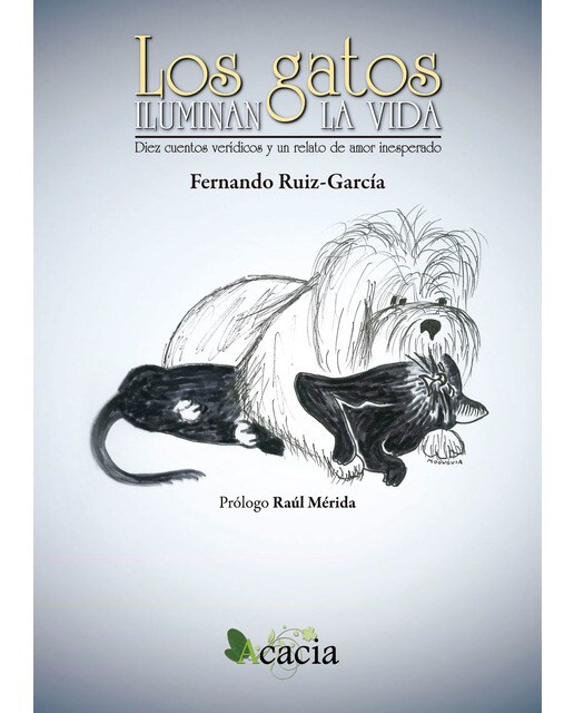 Los Gatos Iluminan La Vida 1