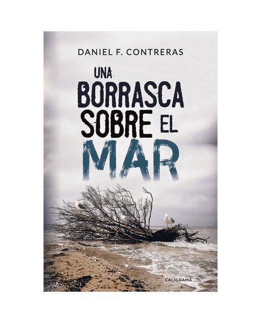 Una borrasca sobre el mar (Capa mole) 1