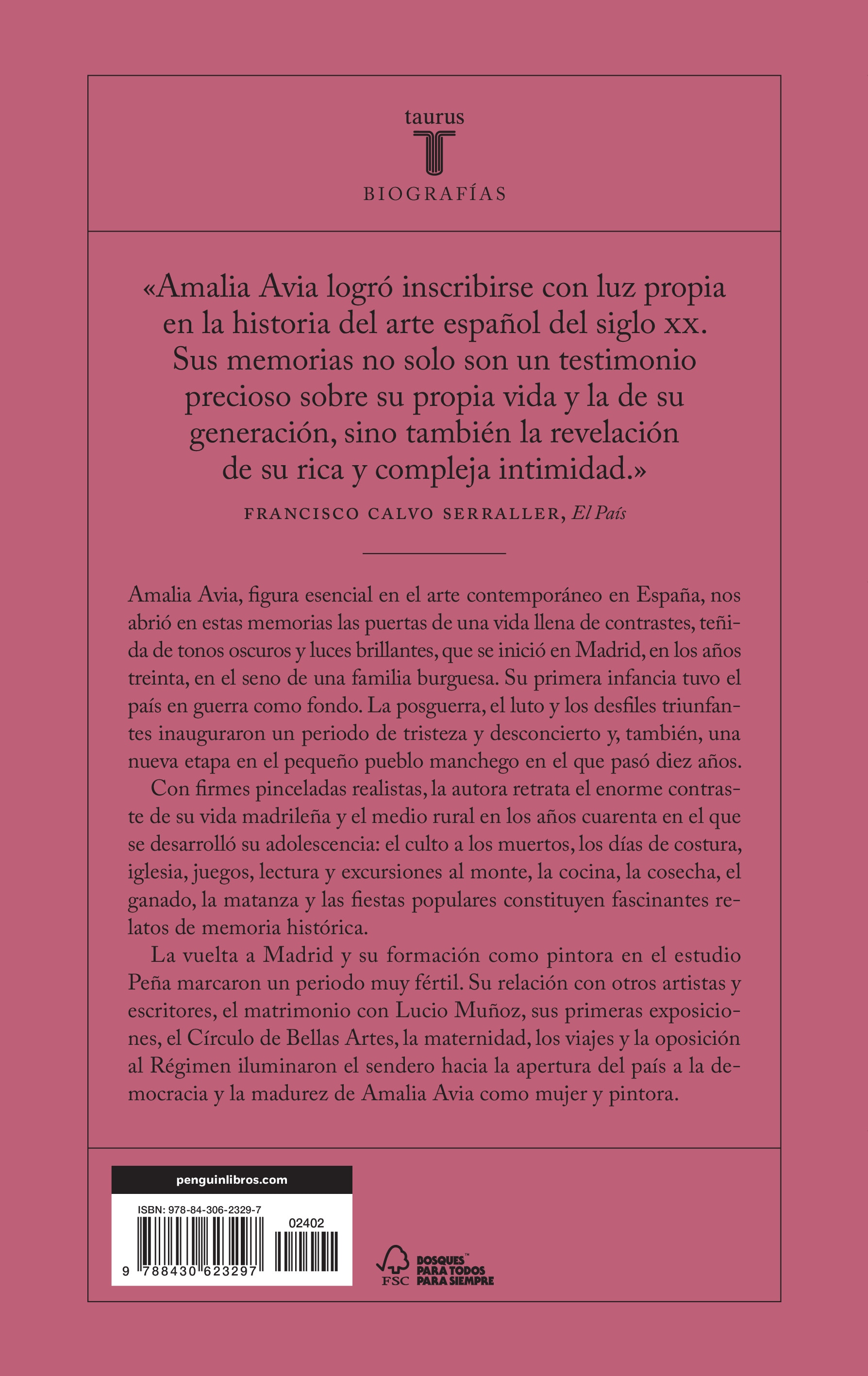 De puertas adentro(Tapa blanda) 2