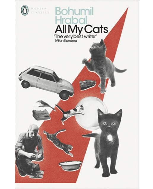 All my cats 1