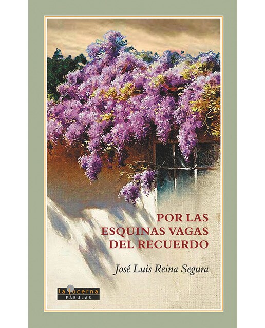 Por las esquinas vagas del recuerdo(Tapa blanda) 1