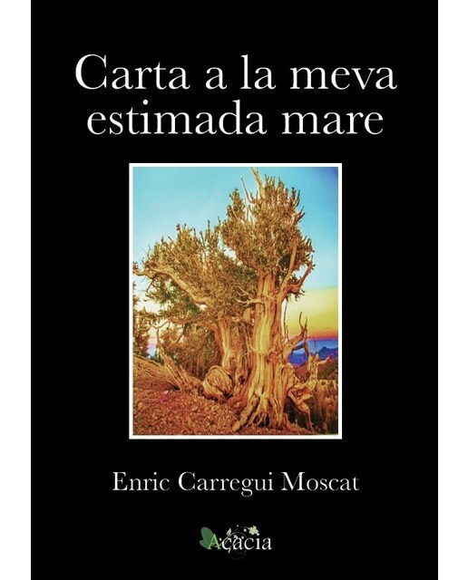 Carta a la meva estimada mare(Tapa blanda) 1