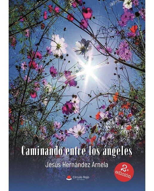 Caminando entre los ángeles(Tapa blanda) 1