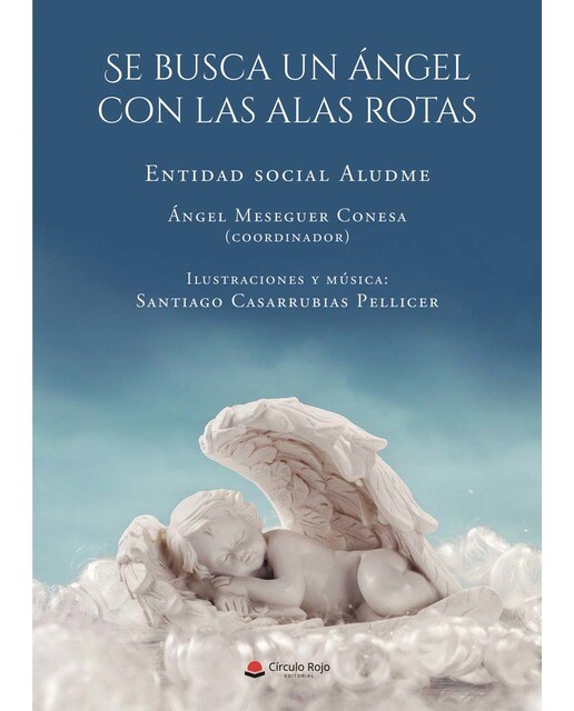 Se busca un ángel con las alas rotas(Tapa blanda) 1