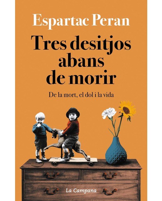 Tres desitjos abans de morir: De la mort, el dol i la vida(Tapa blanda) 1