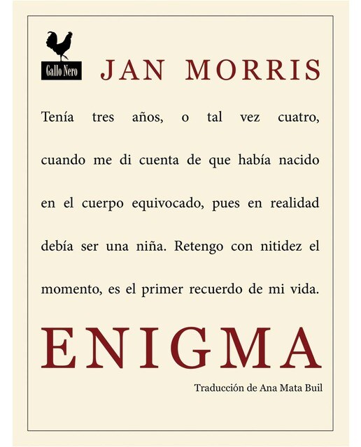 Enigma (Capa mole com abas) 1