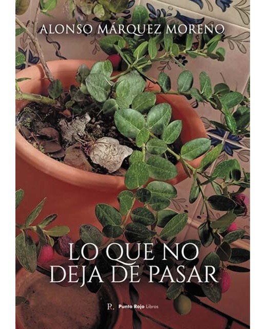 Lo que no deja de pasar 1