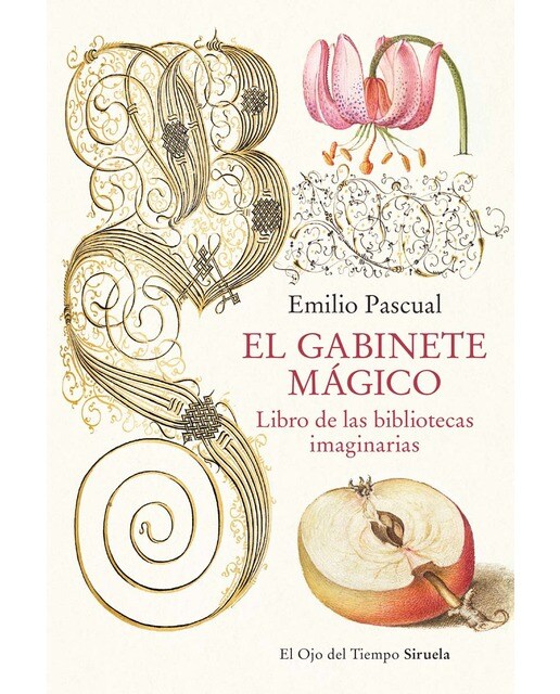 El gabinete mágico: Libro de las bibliotecas imaginarias (Capa mole com abas) 1