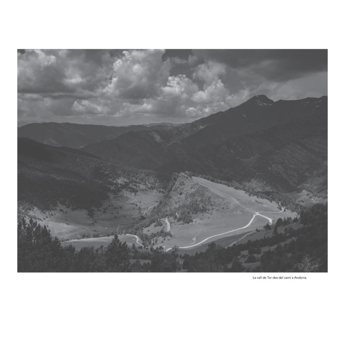 Tor. Tretze cases i tres morts (edició definitiva) (Capa mole) 2