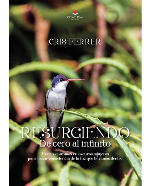Resurgiendo... de cero al infinito 1