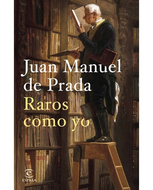 Imagem 0 de Raros como yo (Capa mole com abas)