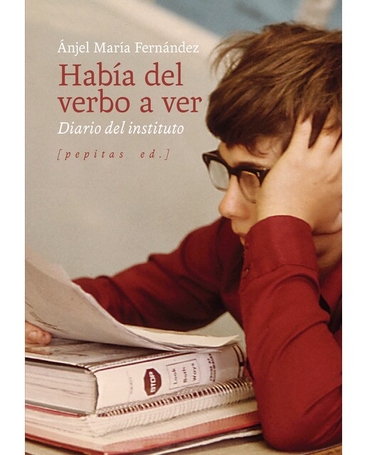 Imagem 0 de Había del verbo a ver: Diario del instituto (Capa mole com abas)