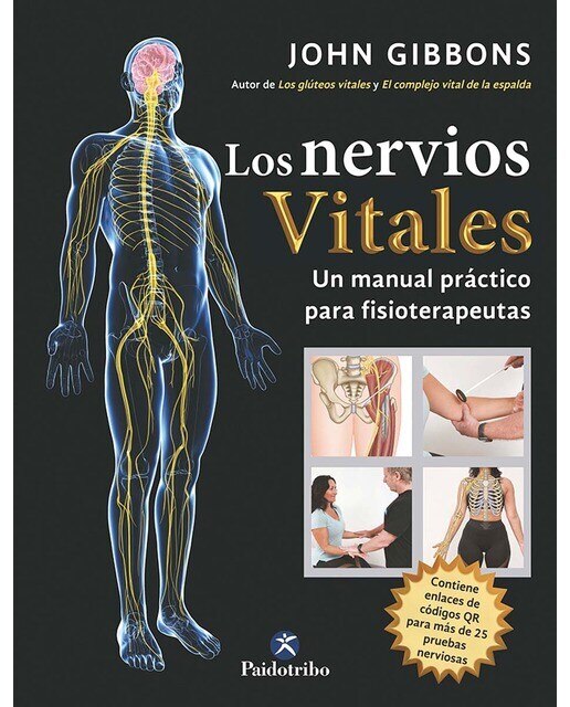 Los nervios vitales (Capa mole) 1