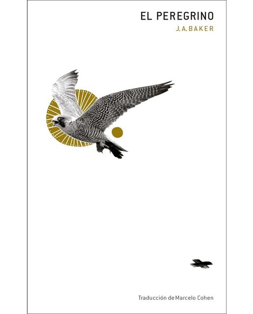 El peregrino (Capa mole com abas) 1