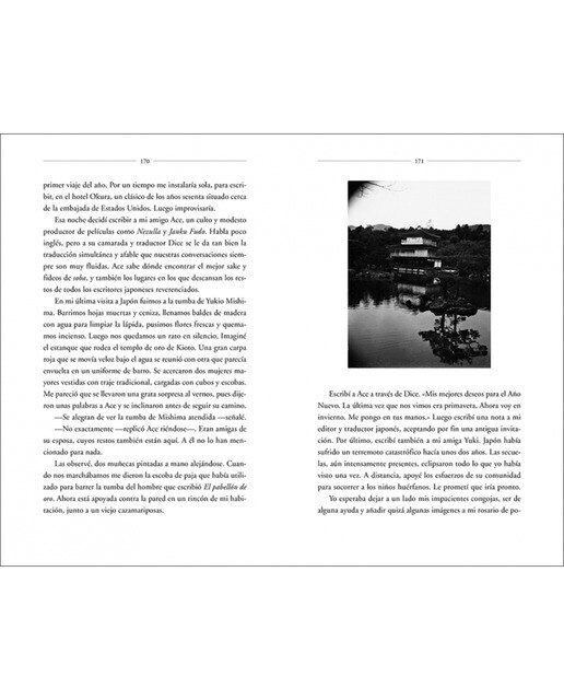 M Train (Capa mole) 6