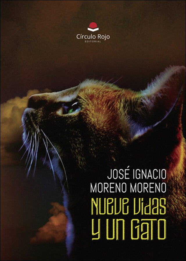 Nueve vidas y un gato 1