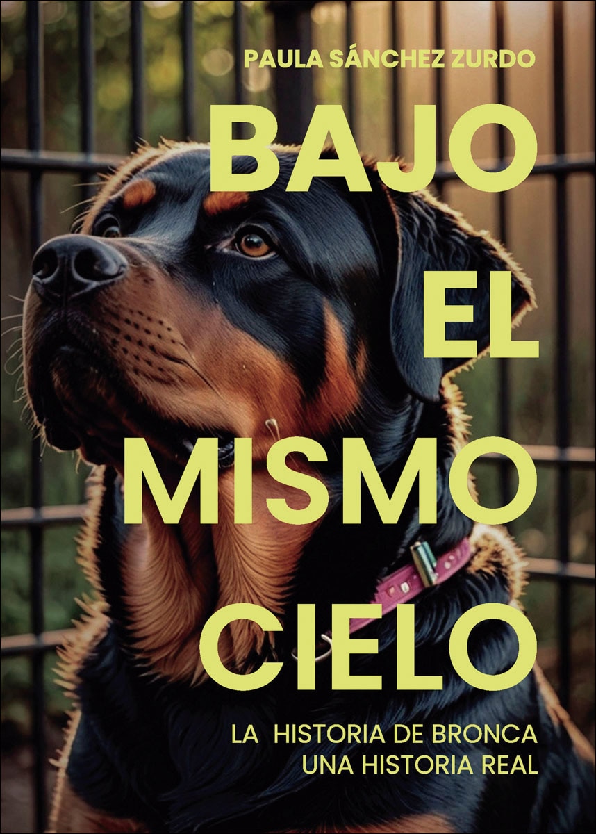 Bajo el mismo cielo 1