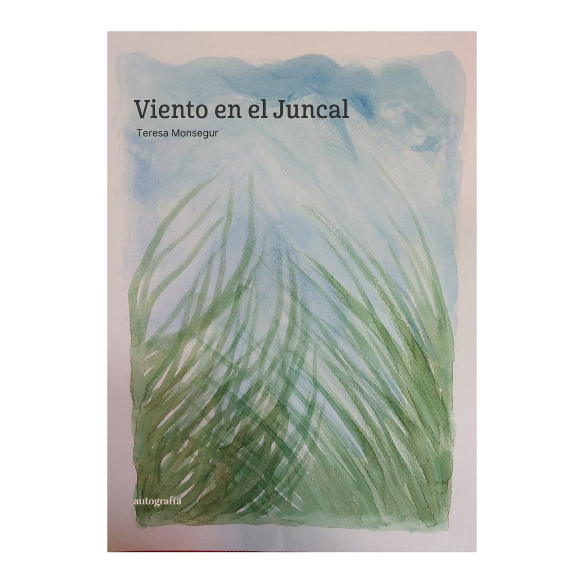 Viento en el Juncal (Capa mole com abas) 1