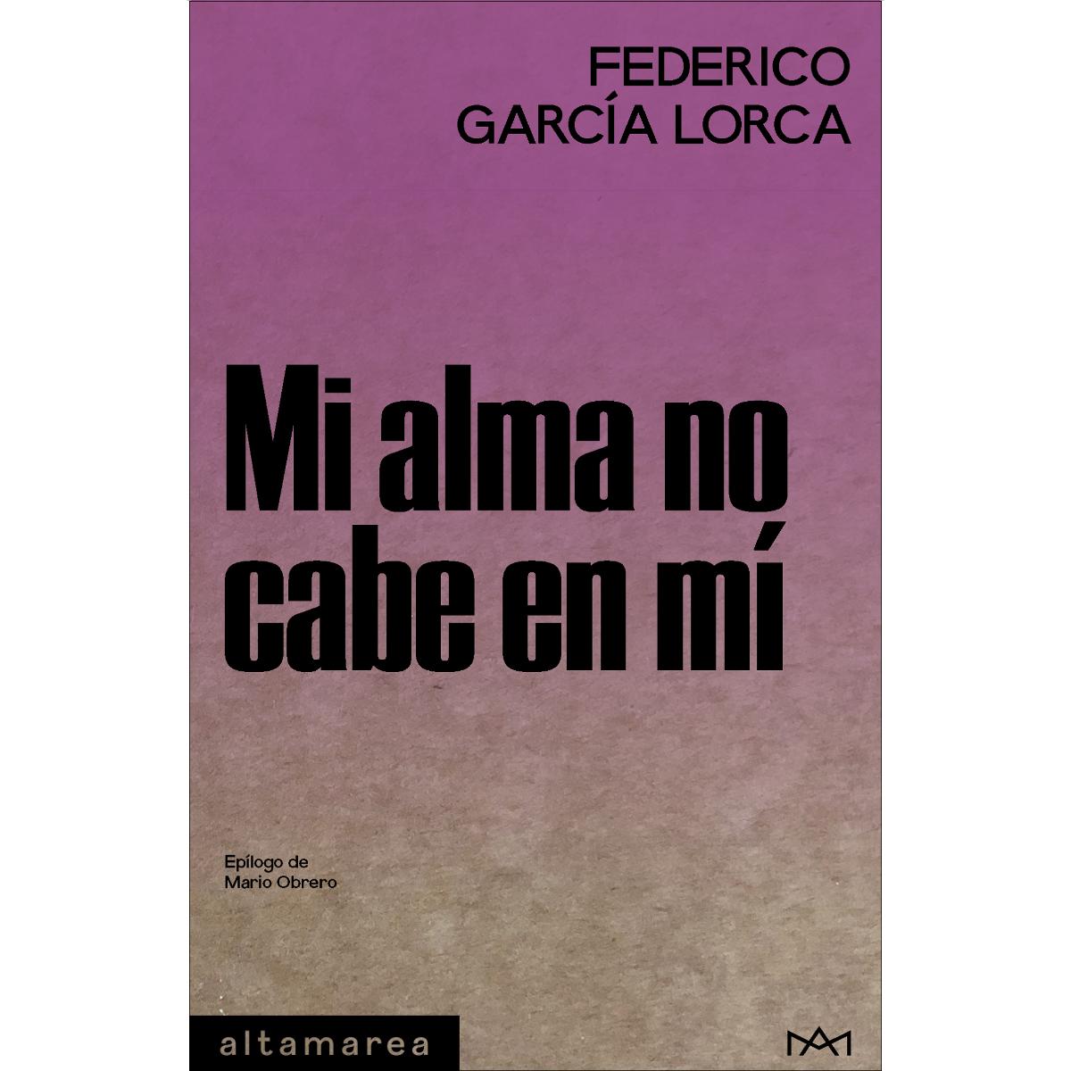 Imagem 0 de Mi alma no cabe en mí (Capa mole)