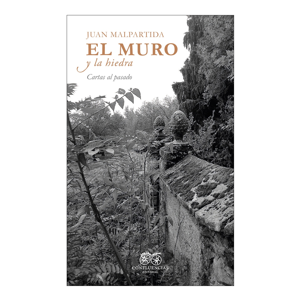 El muro y la hiedra 1