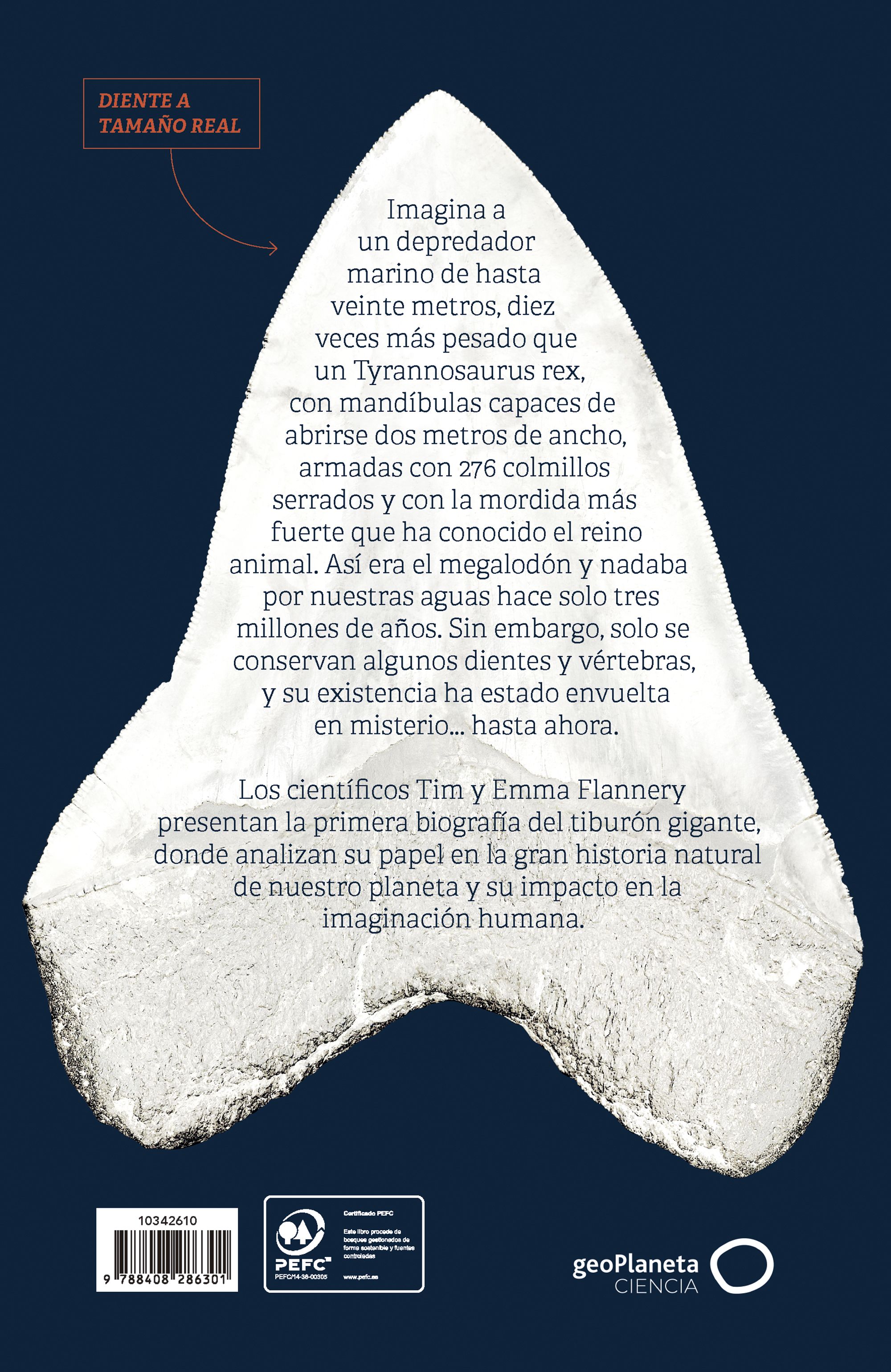 Megalodón: La historia del depredador más grande que ha existido (Capa mole com abas) 2
