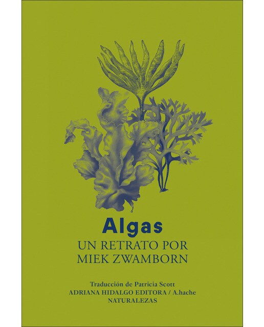 Imagen 0 de Algas  (Tapa blanda con solapas)