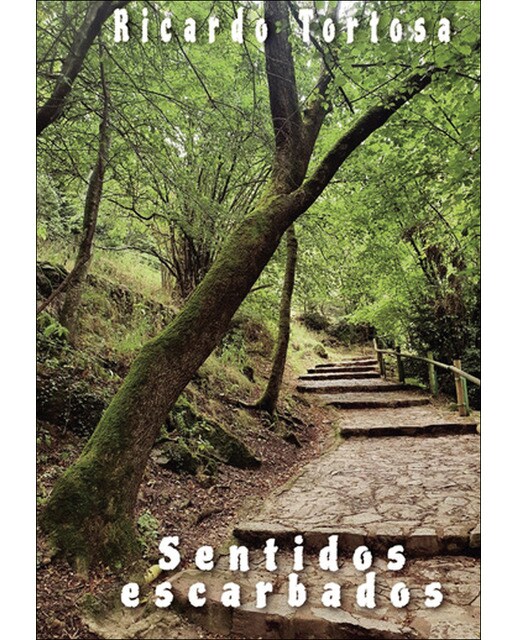 SENTIDOS ESCARBADOS