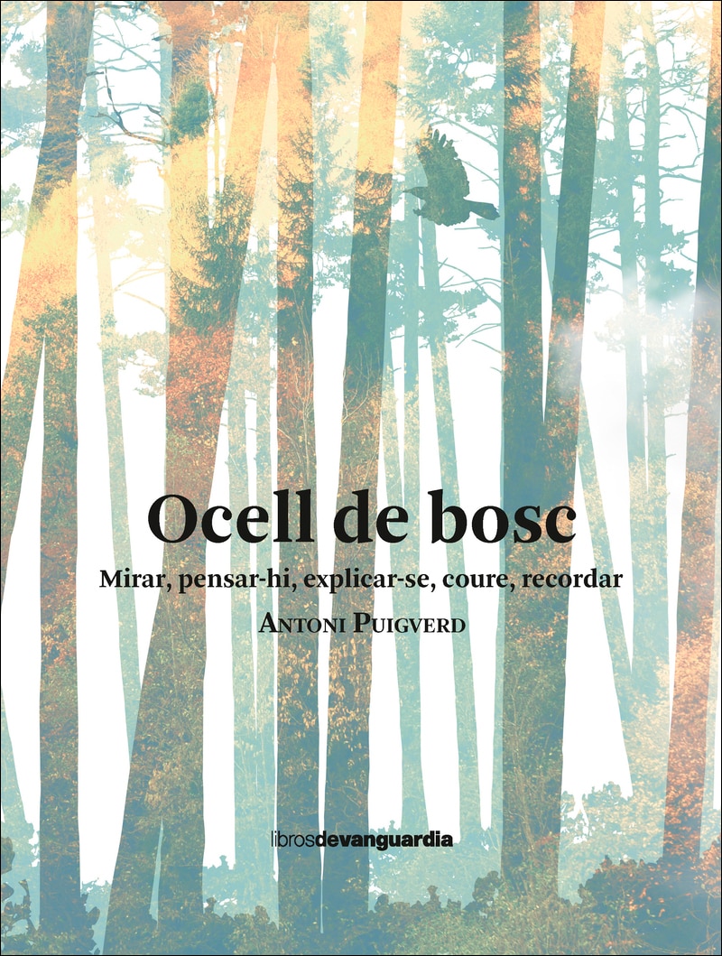 Imagen 0 de Ocell de bosc (Tapa blanda)