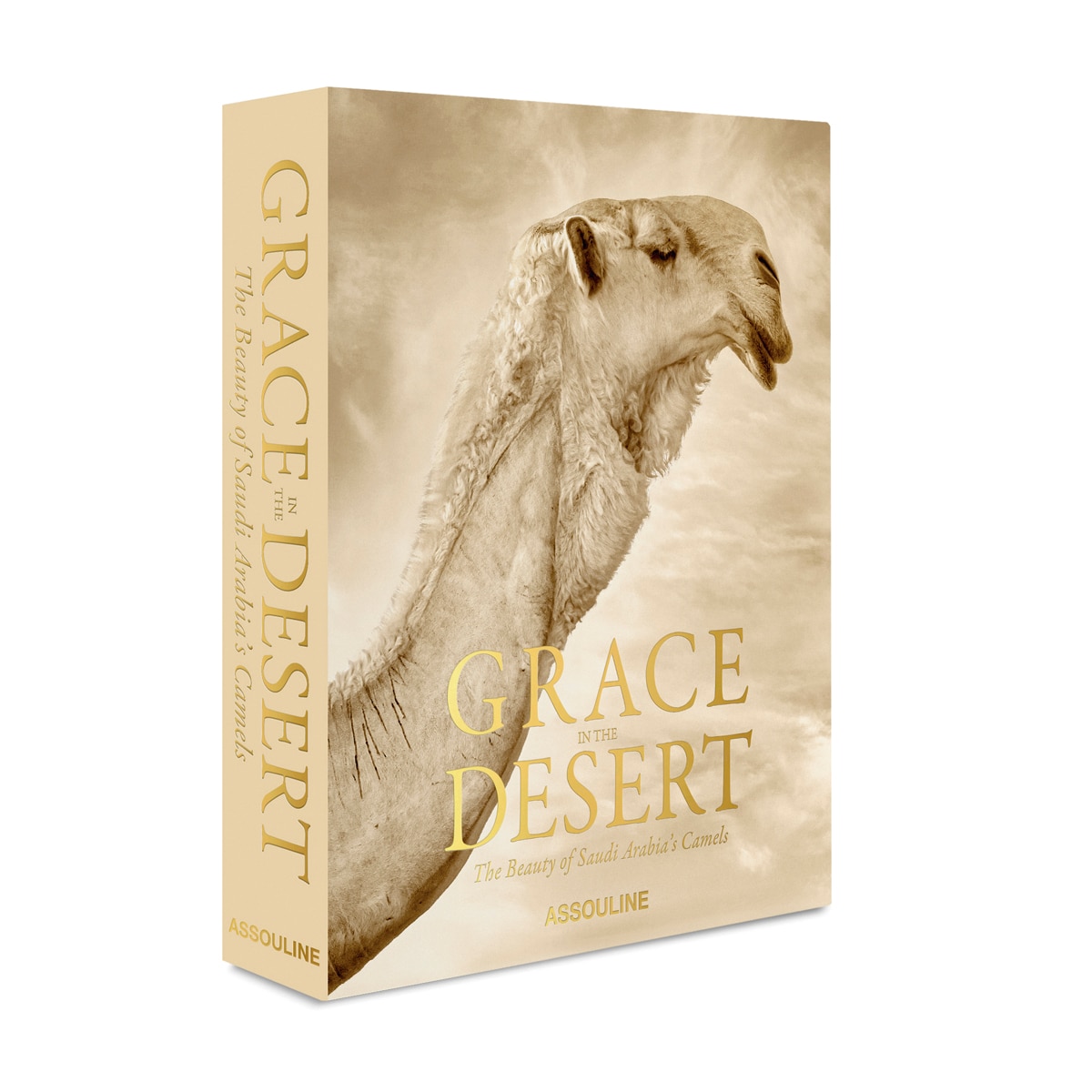 Imagem 0 de Grace in the desert: the beauty of saudi arabia's