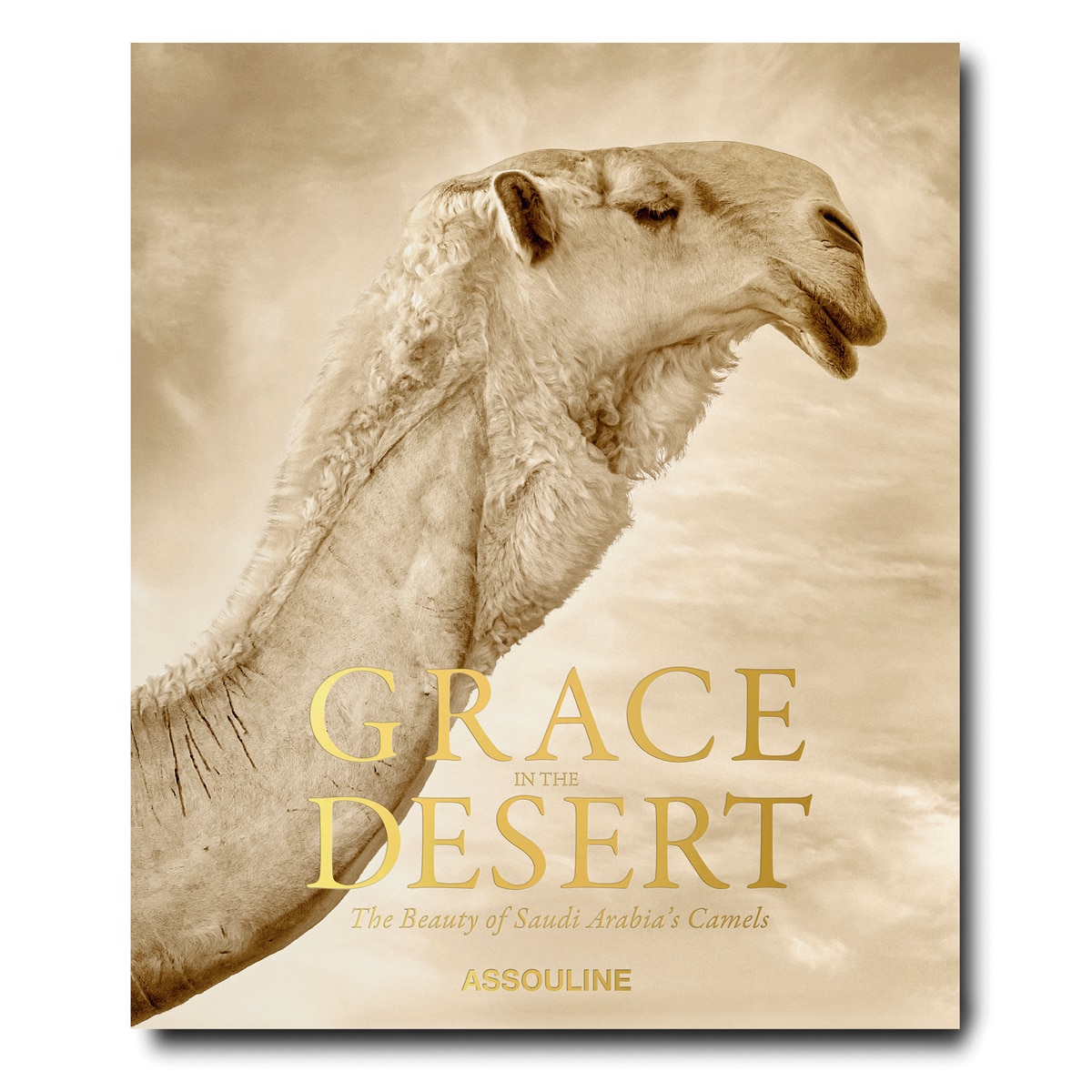 Grace in the desert: the beauty of saudi arabia's 2