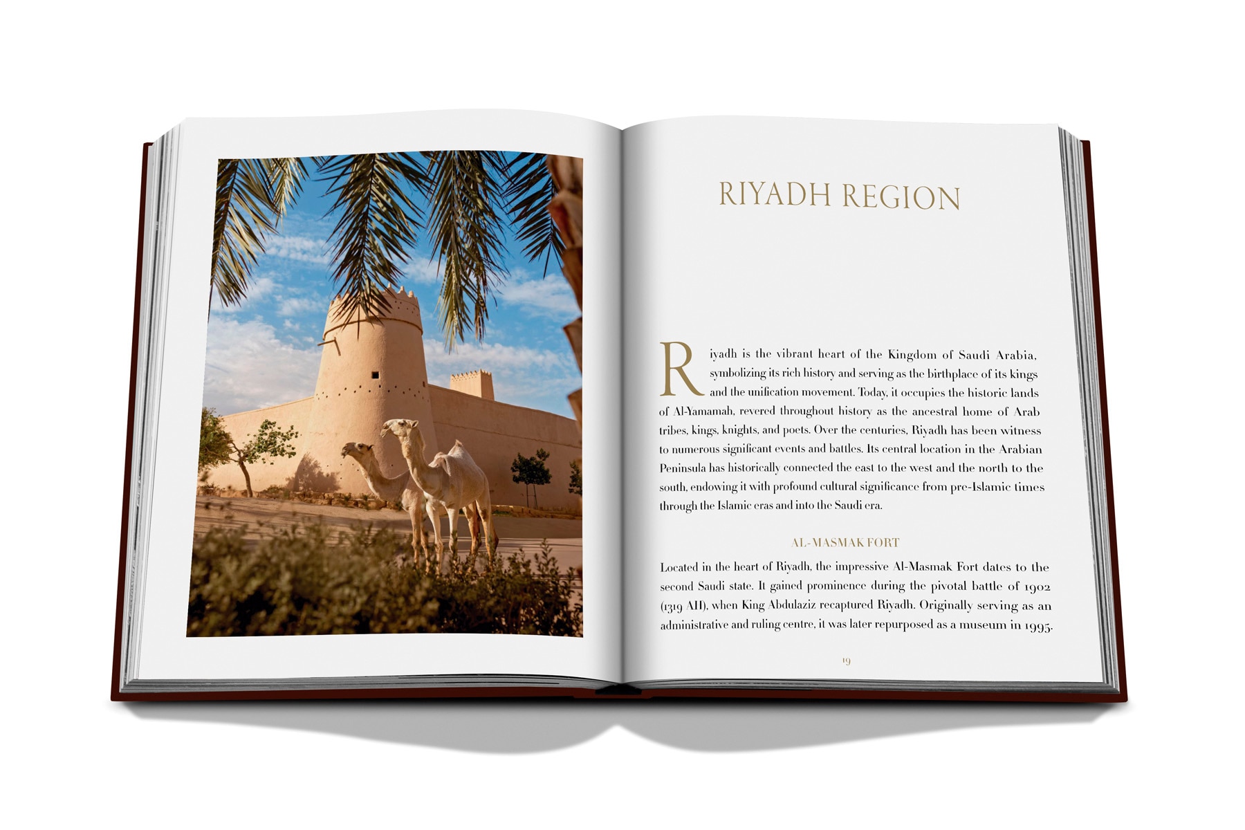 Grace in the desert: the beauty of saudi arabia's 6