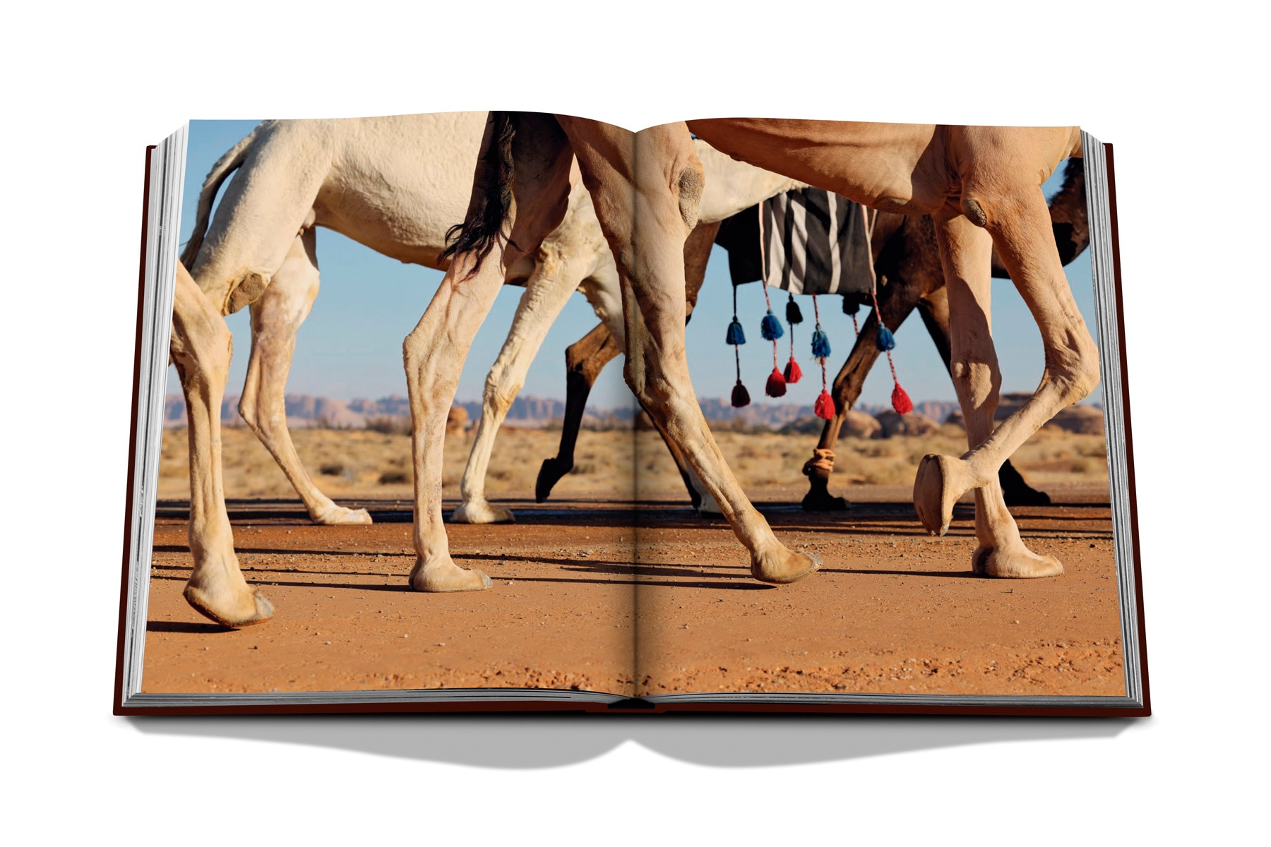 Grace in the desert: the beauty of saudi arabia's 7