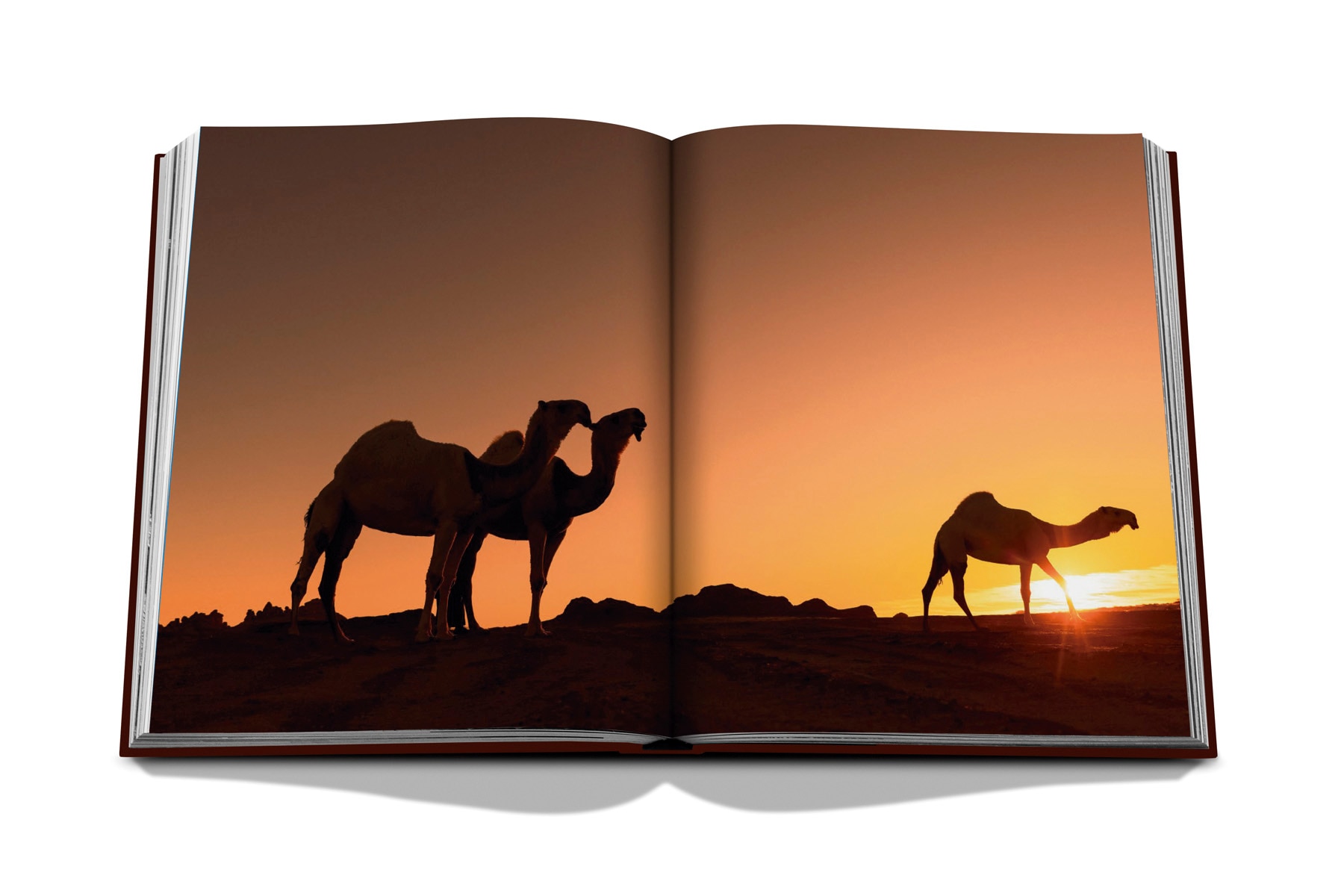 Grace in the desert: the beauty of saudi arabia's 8