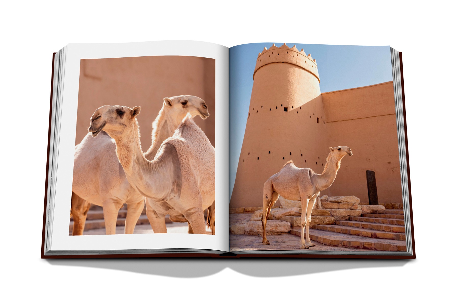 Grace in the desert: the beauty of saudi arabia's 9
