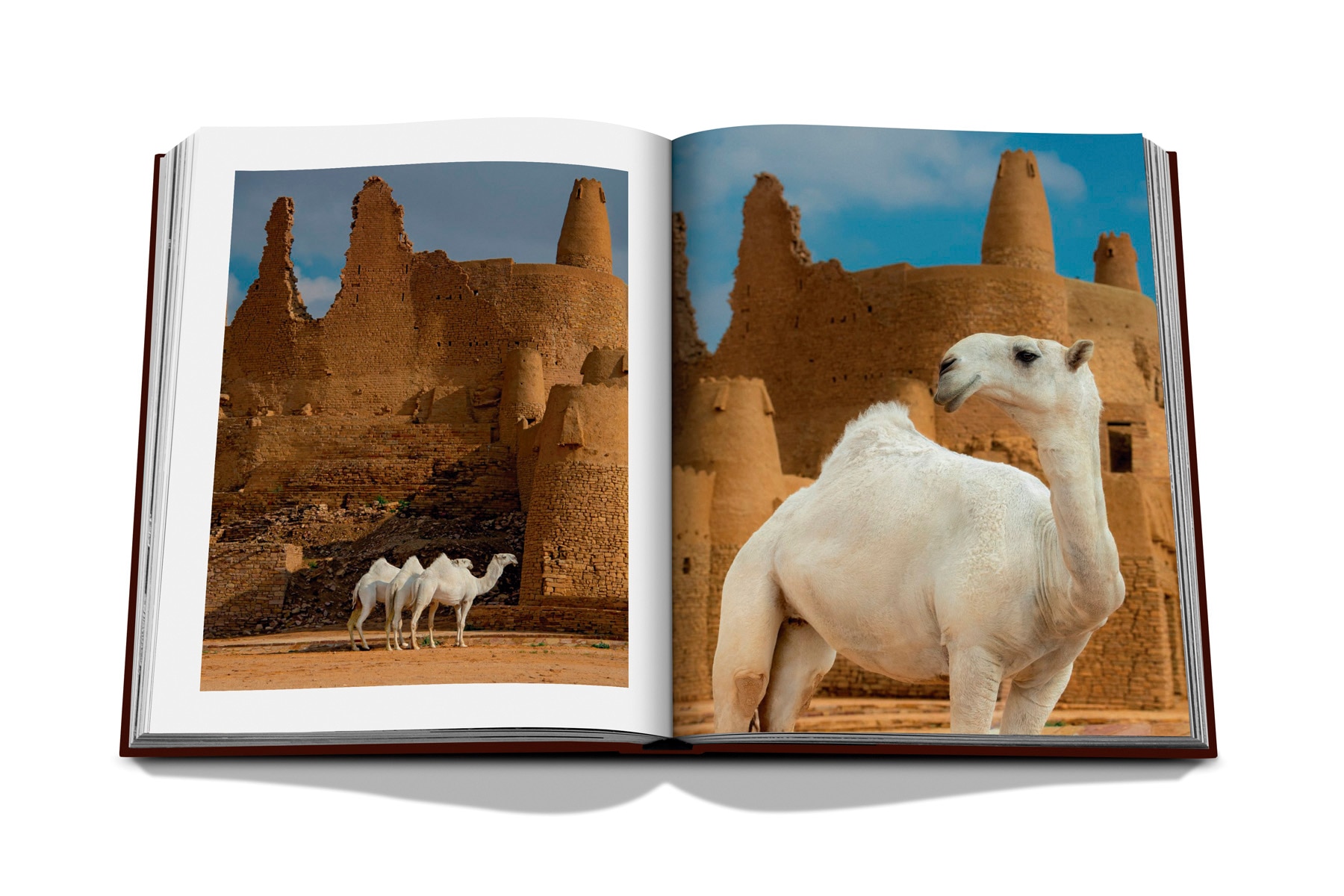 Grace in the desert: the beauty of saudi arabia's 10
