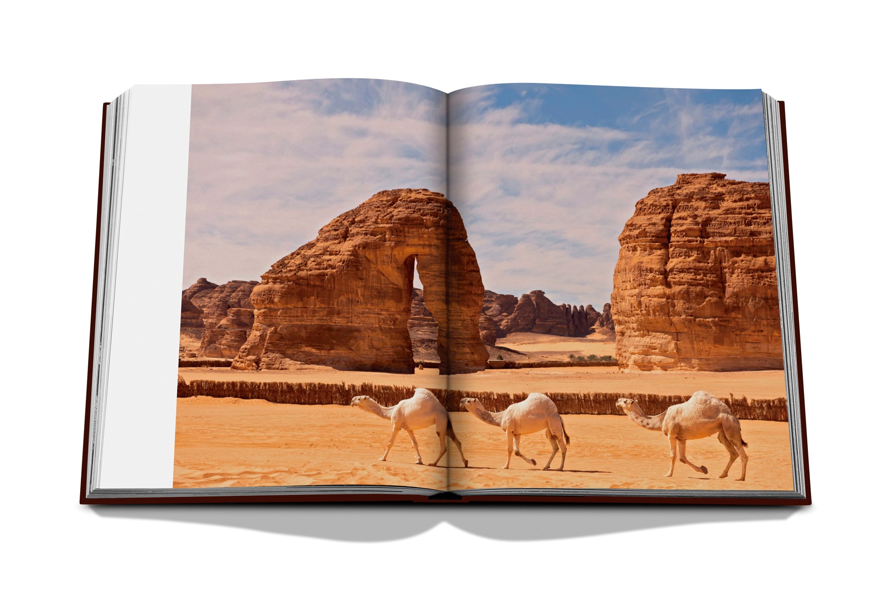 Grace in the desert: the beauty of saudi arabia's 12